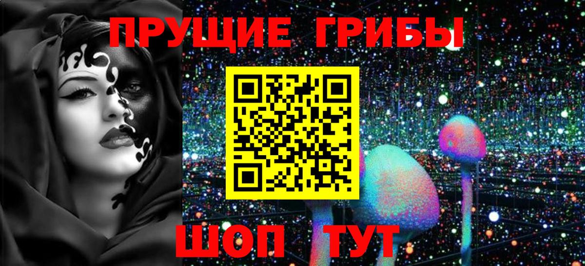 Пенза  Галлюциногенные грибы MAGIC MUSHROOMS  хочу   Вход с VPN  Псилоцибиновые грибы Cubensis 