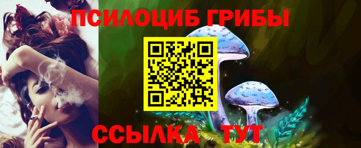Псилоцибиновые грибы мицелий Пенза